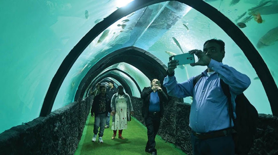 Calcutta Aquarium, Kolkata, West Bengal - Vushii.com Calcutta Aquarium, Kolkata, West Bengal - Vushii.com